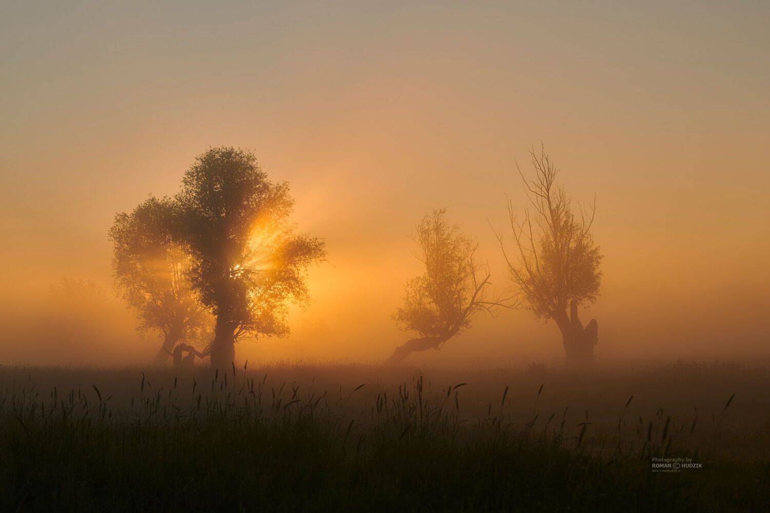 landscape, fog, Poland, trees, field, sunrise, Roman Hudzik