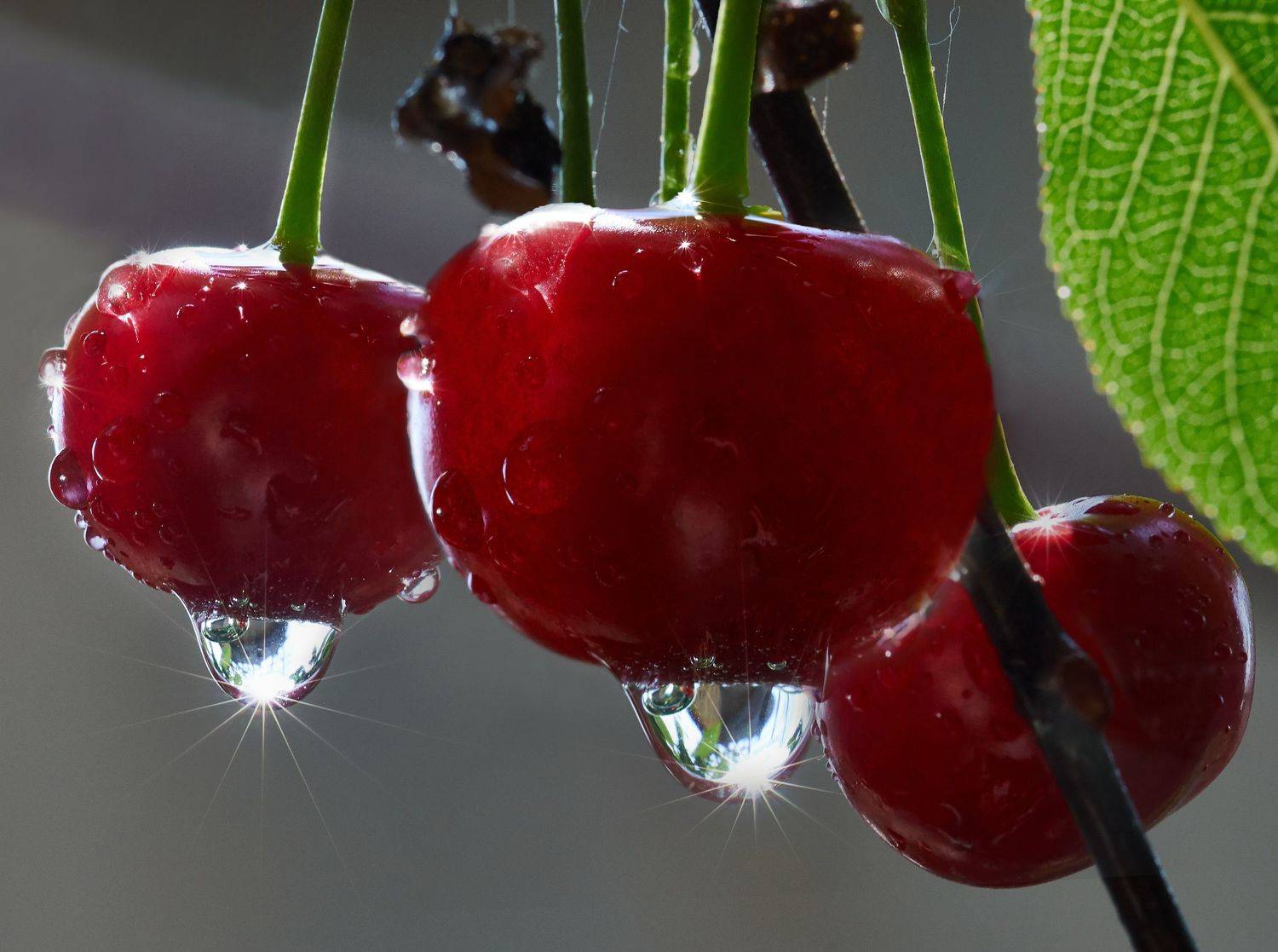 , Владимир Краснов