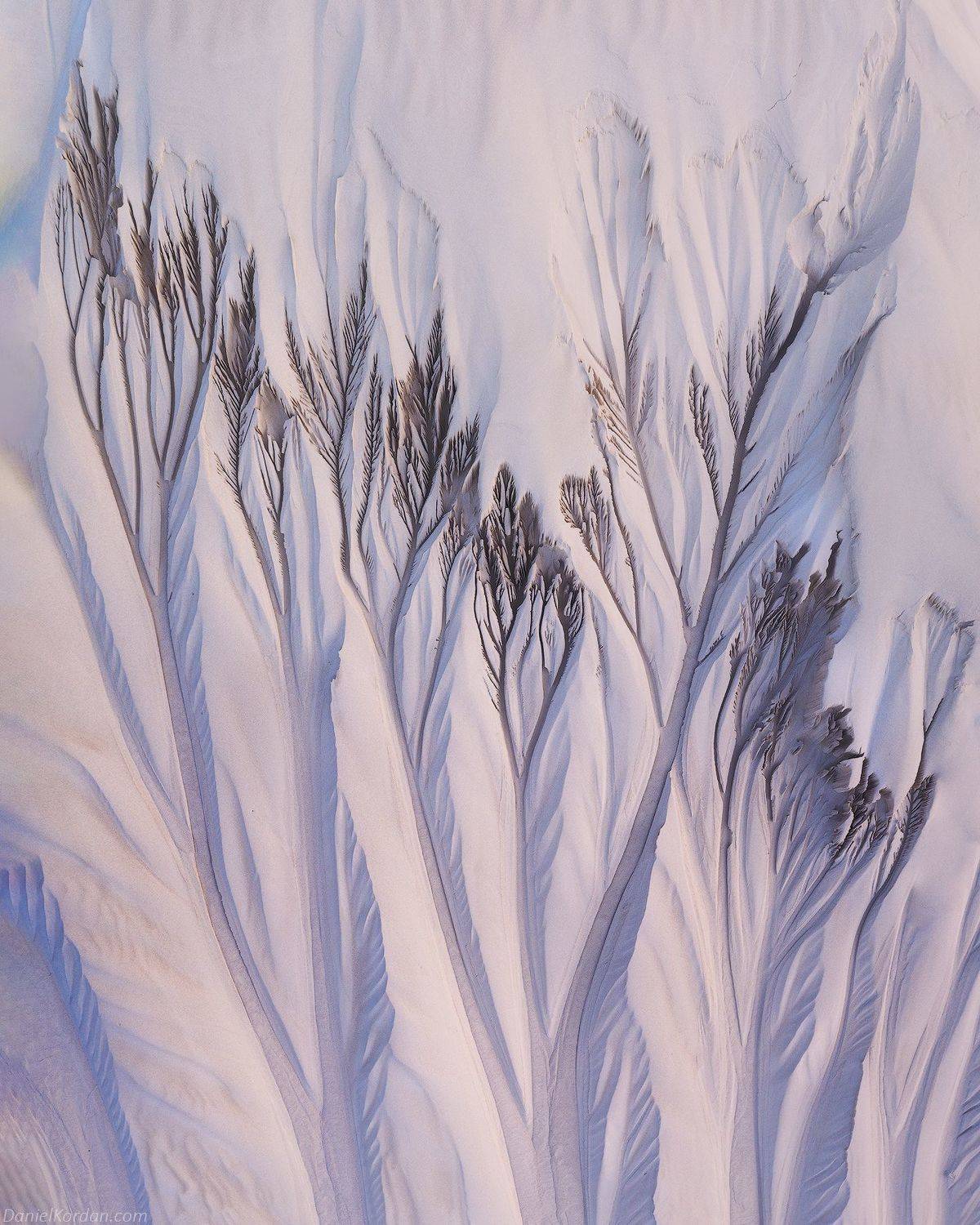 Socotra, Даниил Коржонов