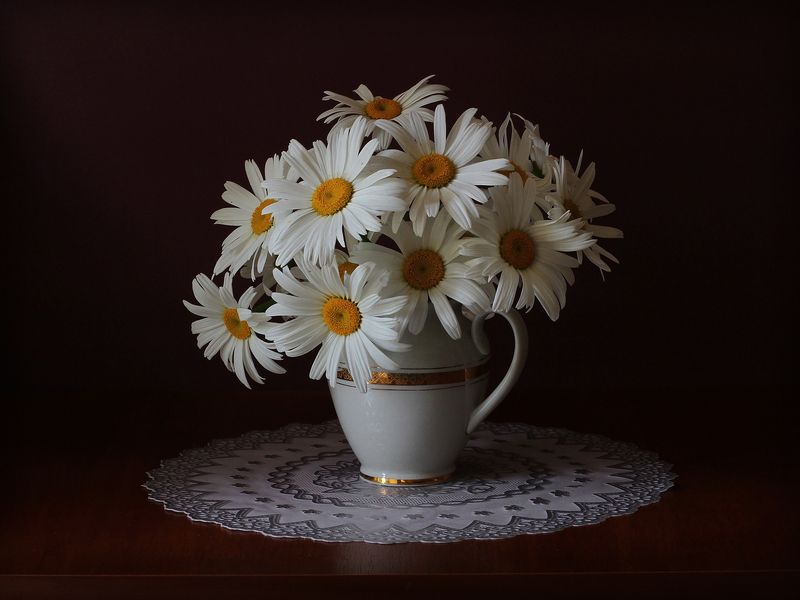 Ромашки фото превью