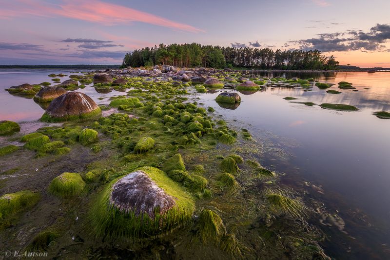 пейзаж,  природа,  море,  эстония Вечер в бухте фото превью