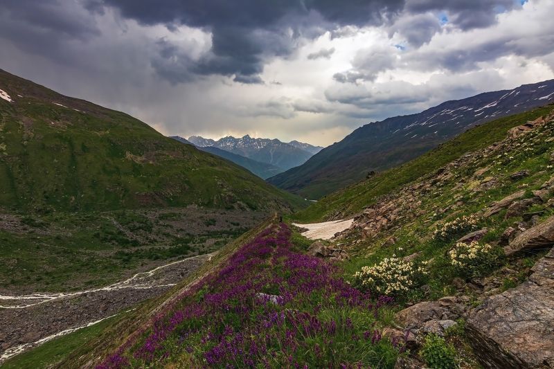 горы, альпинизм, кавказ, ледники цветочною тропой... фото превью