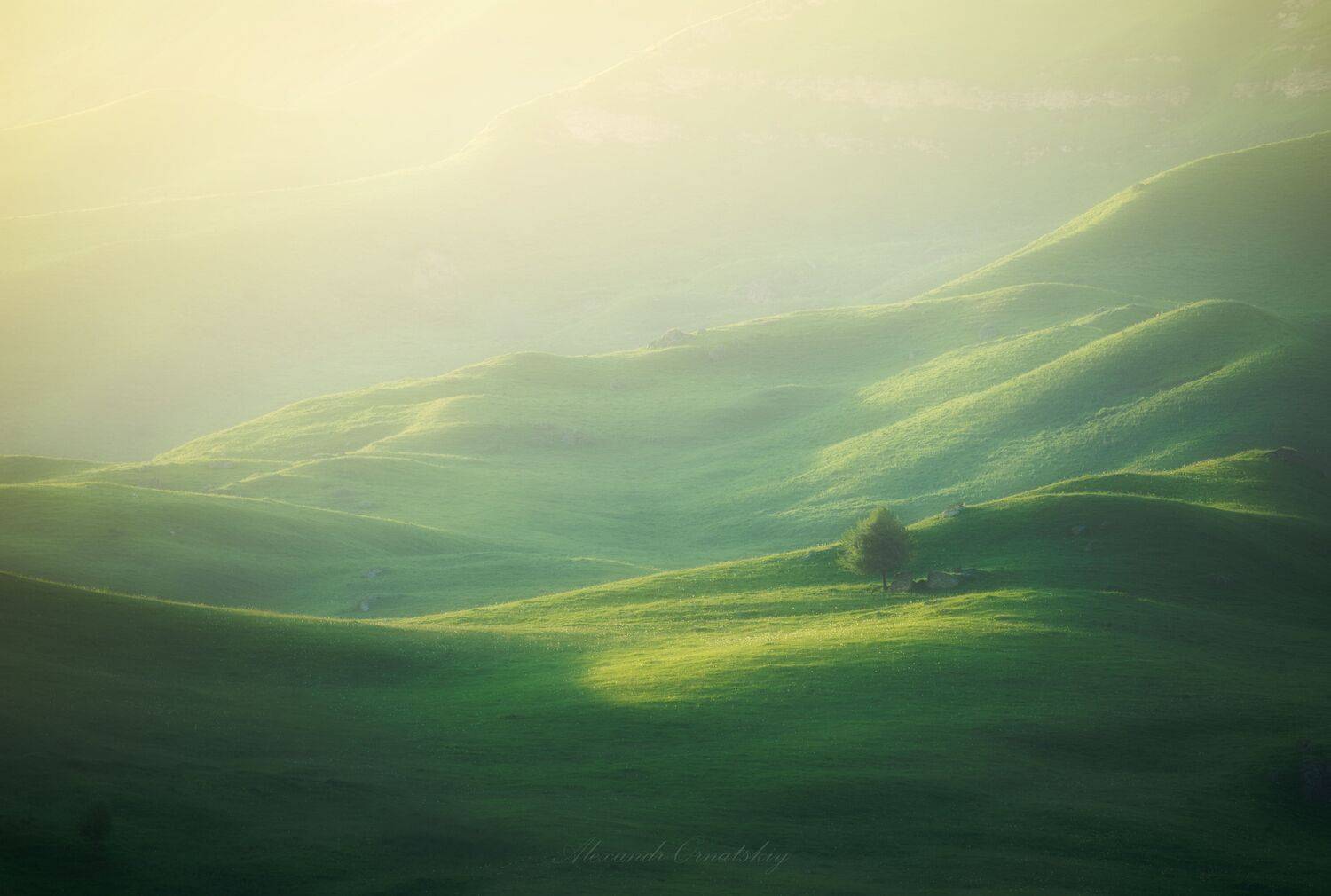 , Александр Орнатский