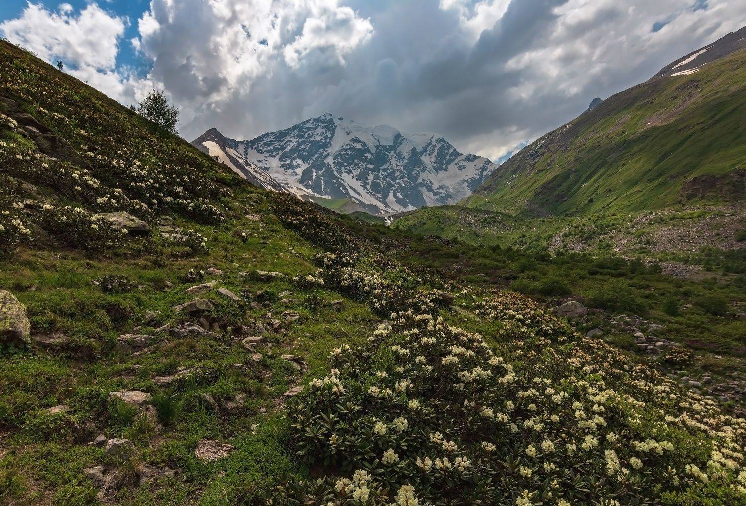 горы,восхождение,кавказ,облака,  Эстелла