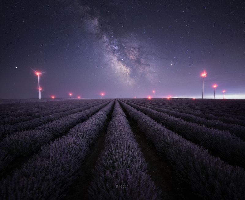 Purple night фото превью