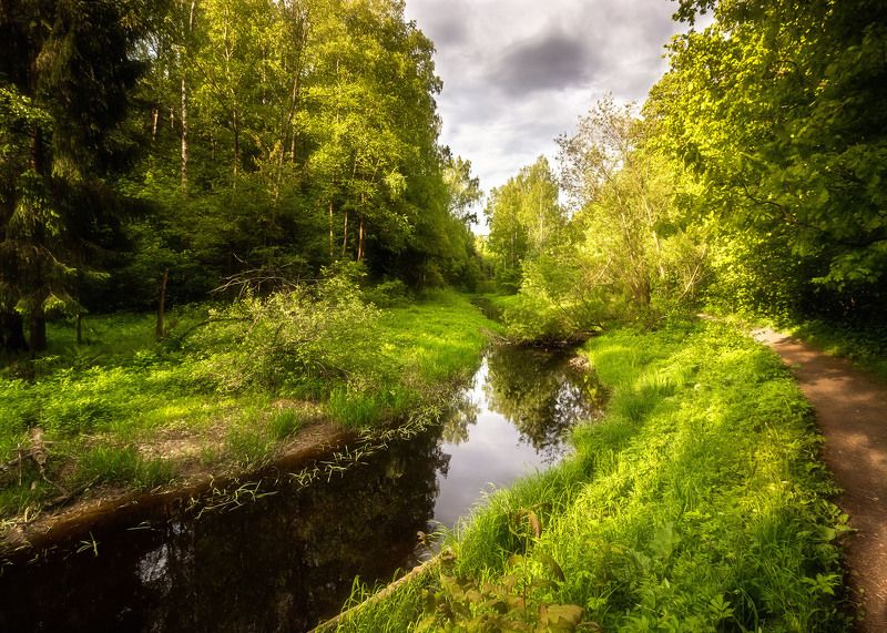 фото превью