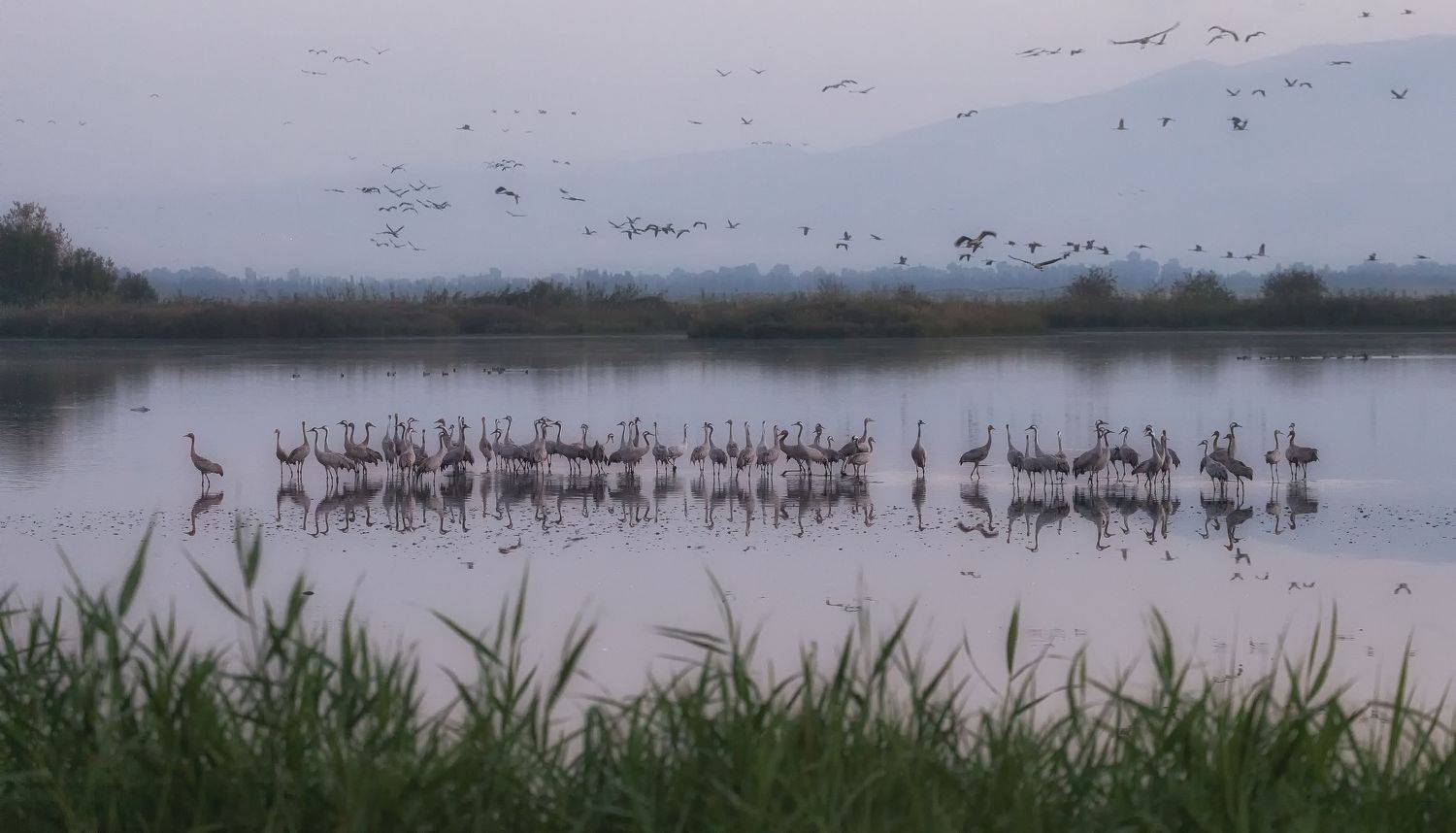 , Григорий Крамаренко