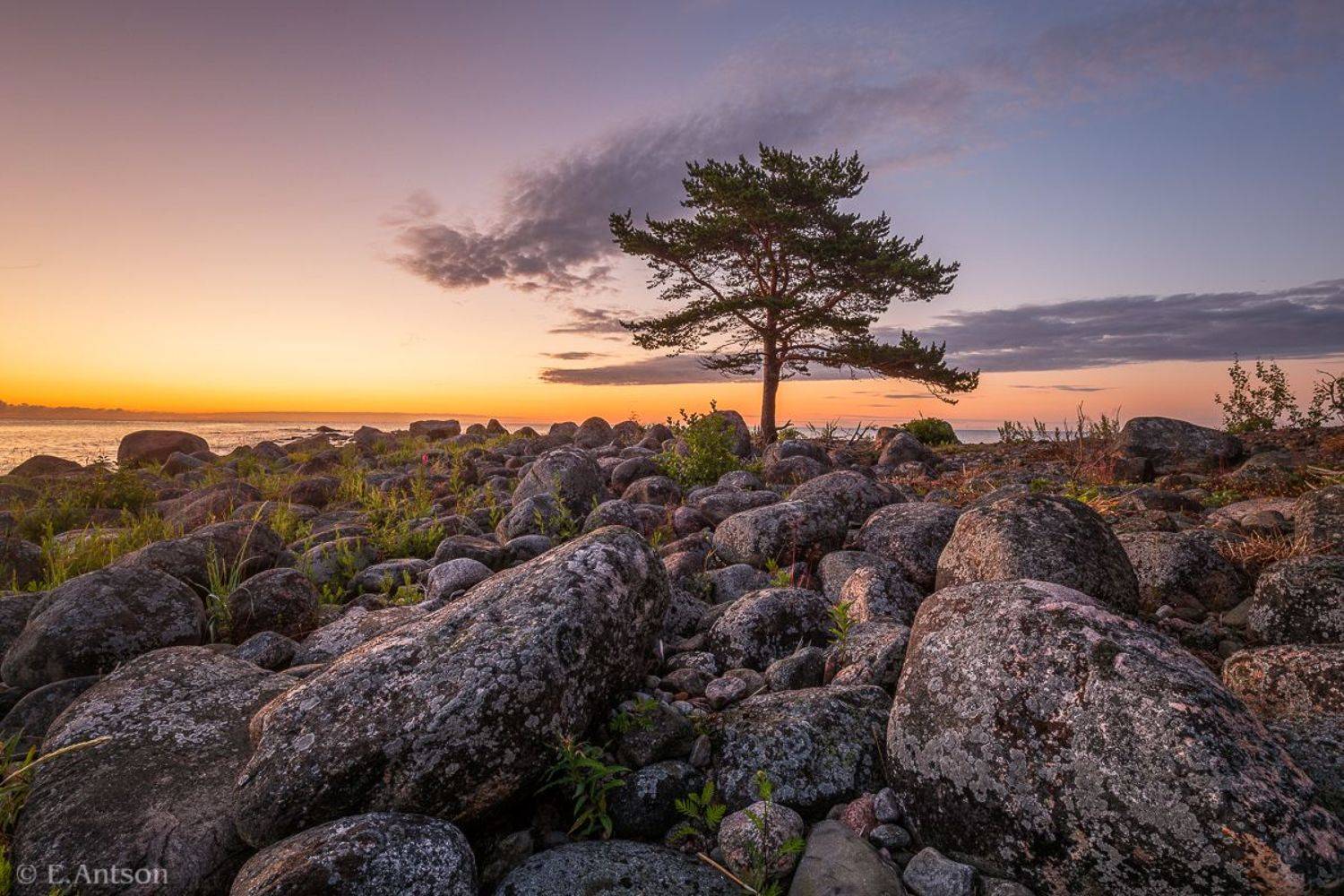 пейзаж, природа, эстония, Elvis Antson