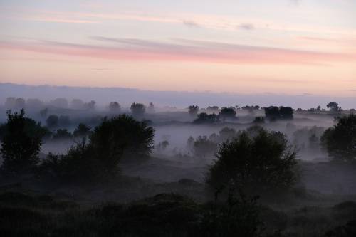 Летняя ночь