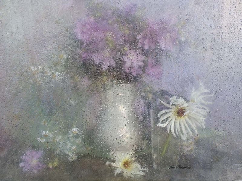 Белые георгины фото превью