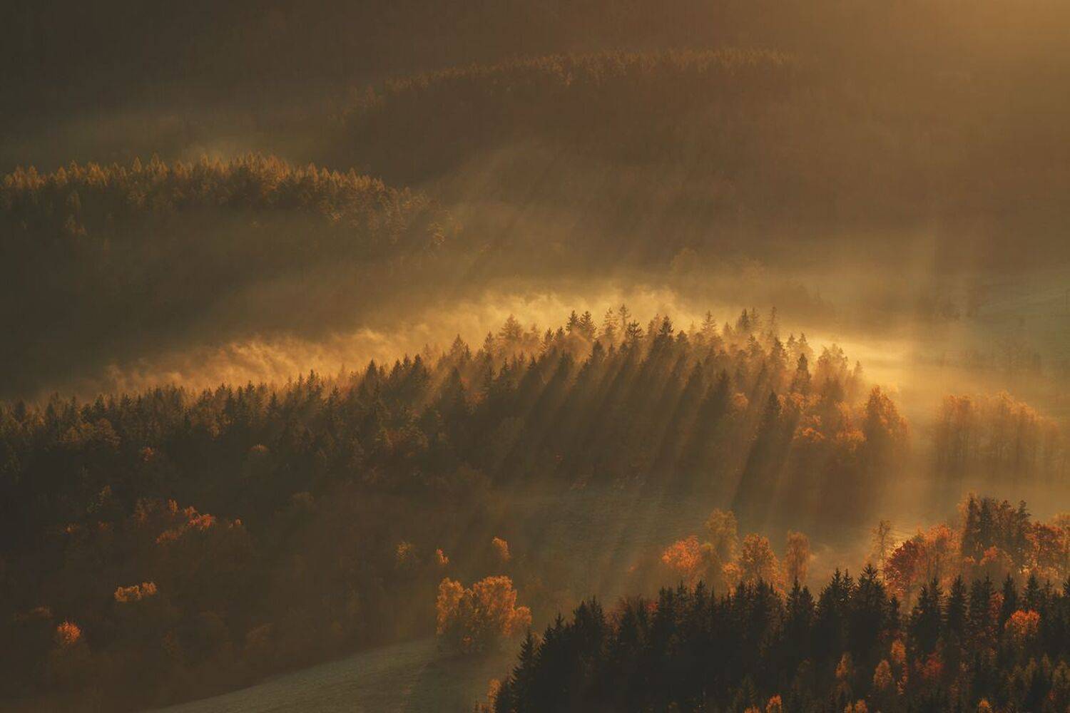 landscape,autumn,canon,mountains, Iza i Darek Mitręga