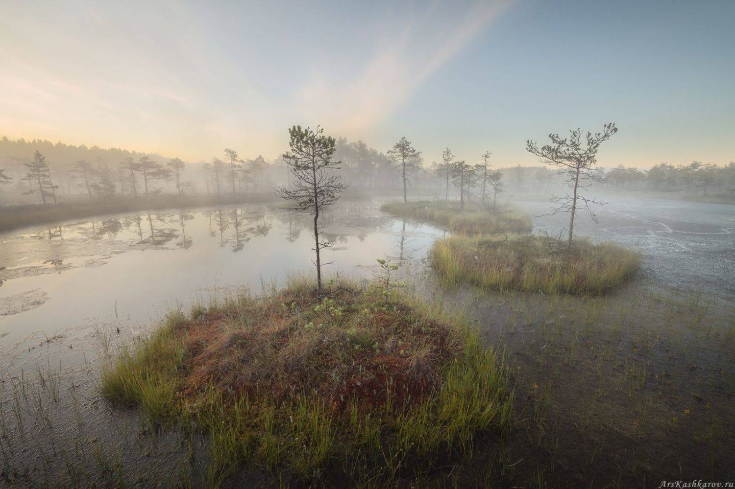 болото, ленобласть, фототур, туман, ленинградская область, дымка, болотные топи, Арсений Кашкаров