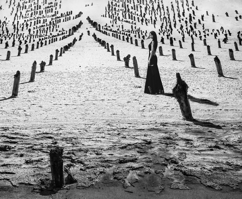 Солончак фото превью