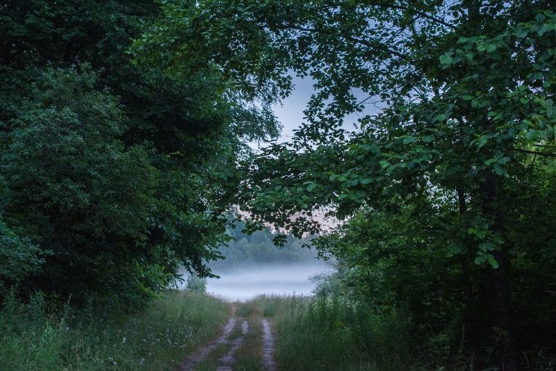 Утро фото превью