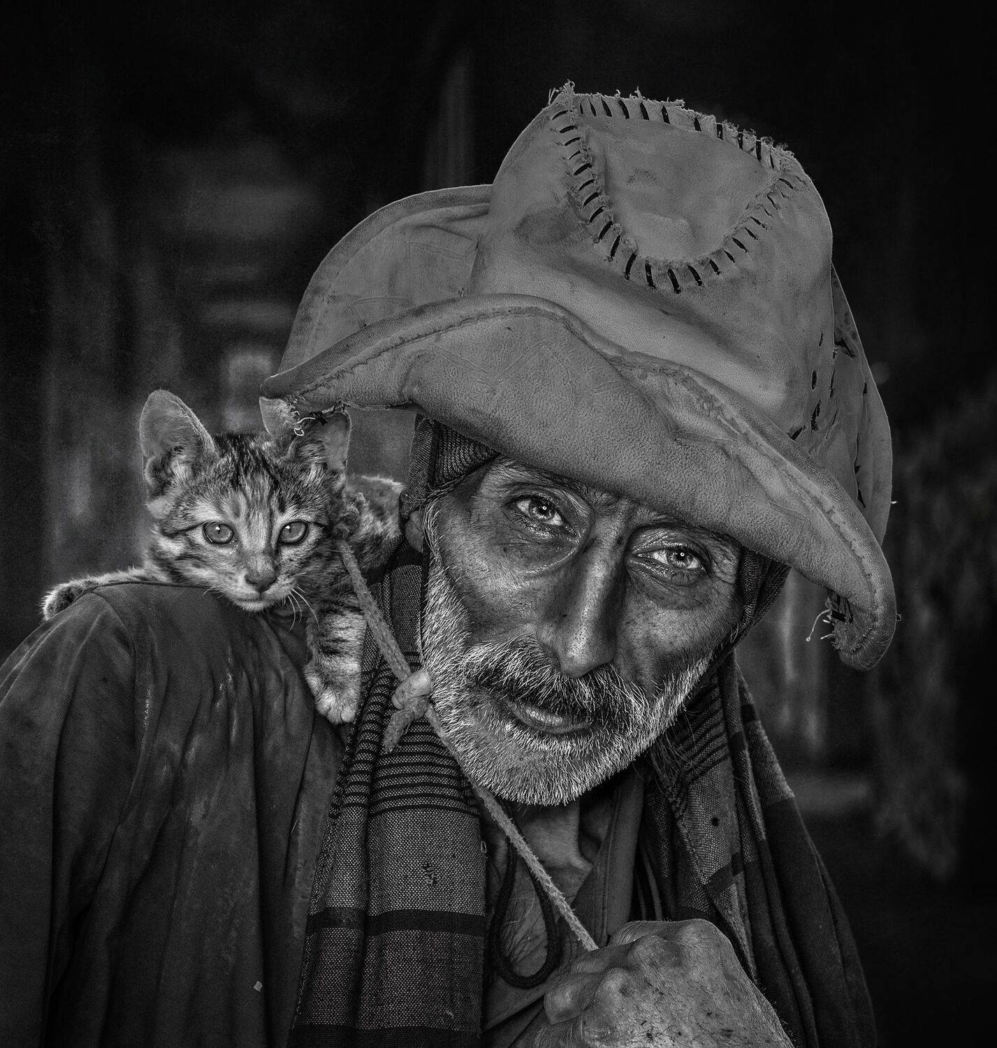 #portrait, #people, #pet, #cat, Mehdi Zavvar