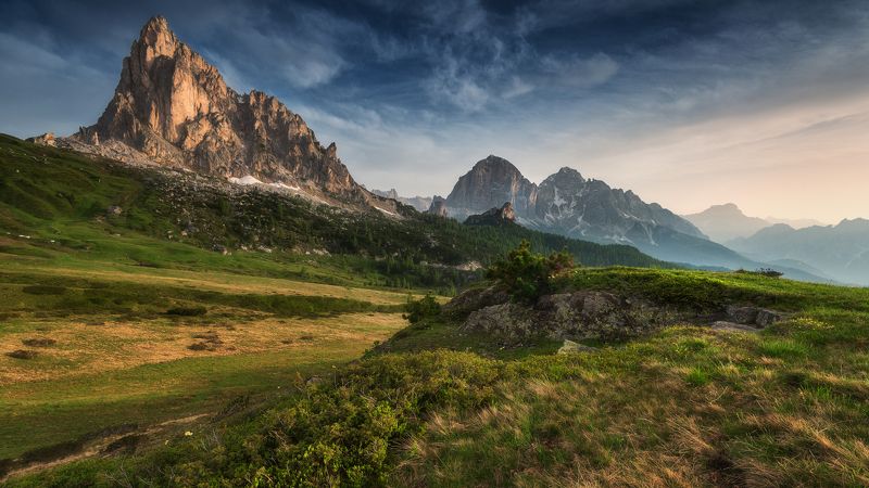 NEW DAY фото превью