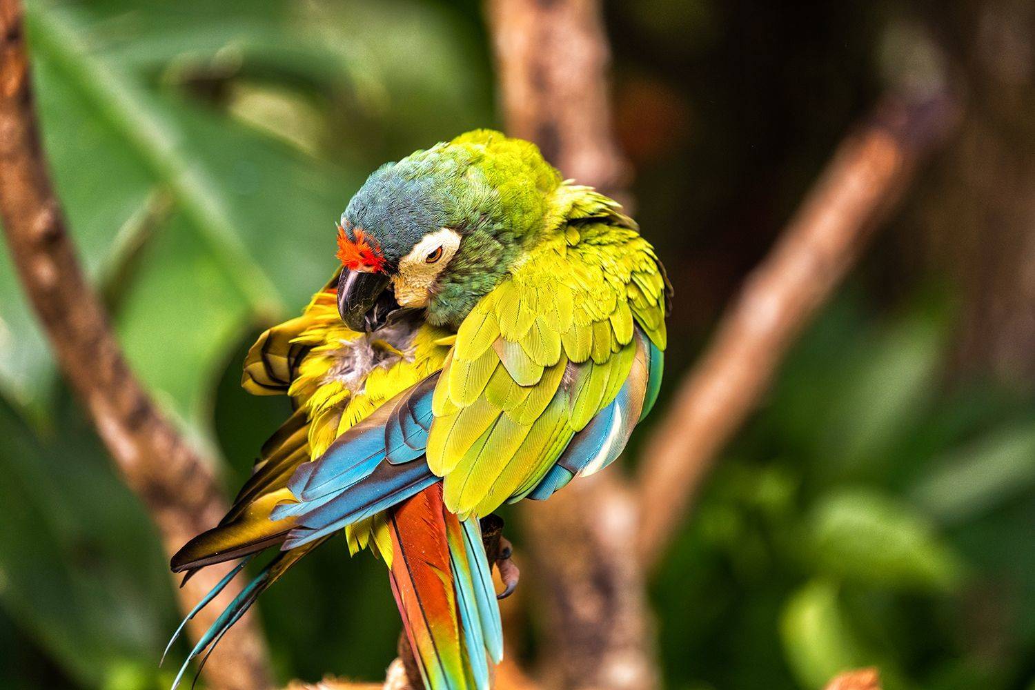 , Лариса Николаевна Дука