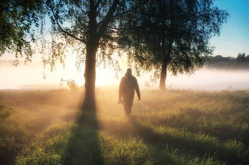 Охота за рассветом