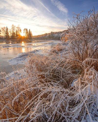 Утро на реке Оять