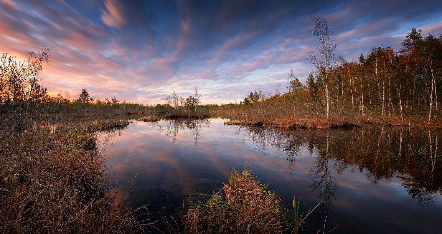 панорама, болото, закат, латвия, вечер, Евгений Матюшенков