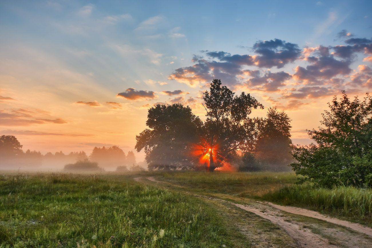 беларусь, дорога, дубрава, июль, лето, луга, рассвет, туман, утро, Вейзе Максим