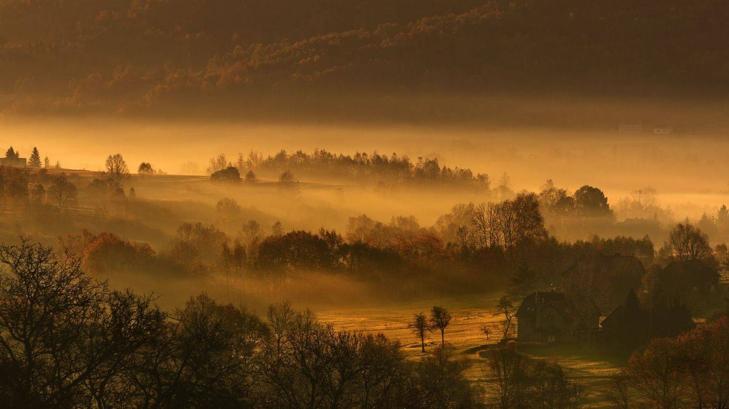 autumn, fall, season, mist, fog, poland, lesser poland, trees, village, golden hour, польша, осень, tranquility, forrest, rural, countryside, valley, outdoor, sunrise, morning, туман,, Sebastian Płonka