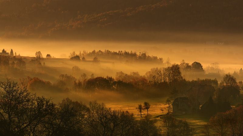 autumn, fall, season, mist, fog, poland, lesser poland, trees, village, golden hour, польша, осень, tranquility, forrest, rural, countryside, valley, outdoor, sunrise, morning, туман, Осеннее Впечатление фото превью