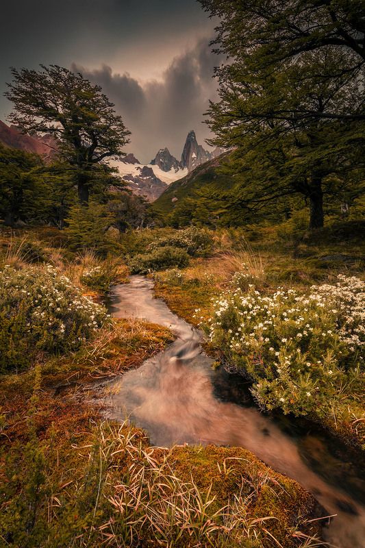 пейзаж, горы, чили, landscape, mountain, chile В гостях у сказки фото превью