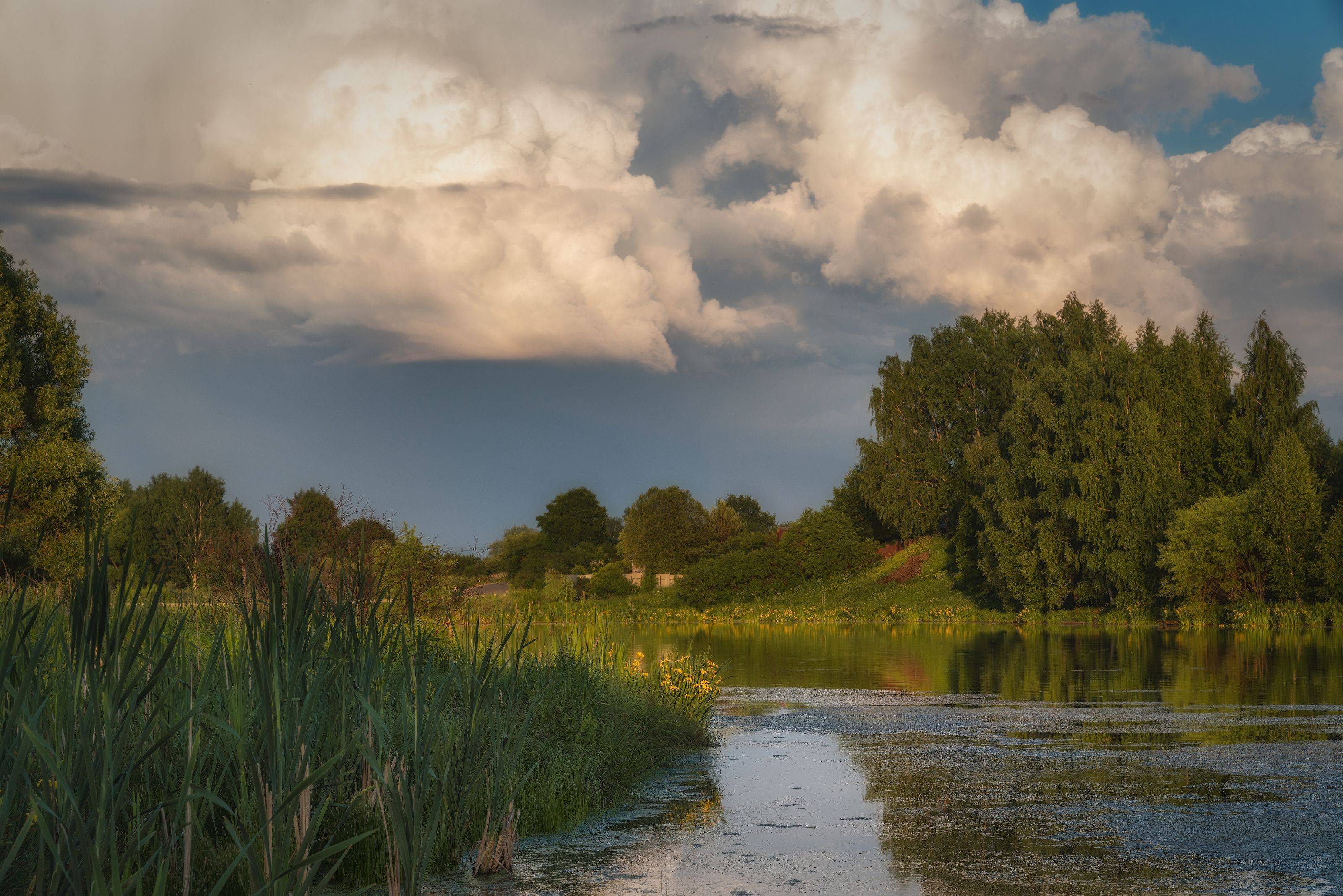 , Константин Дэм