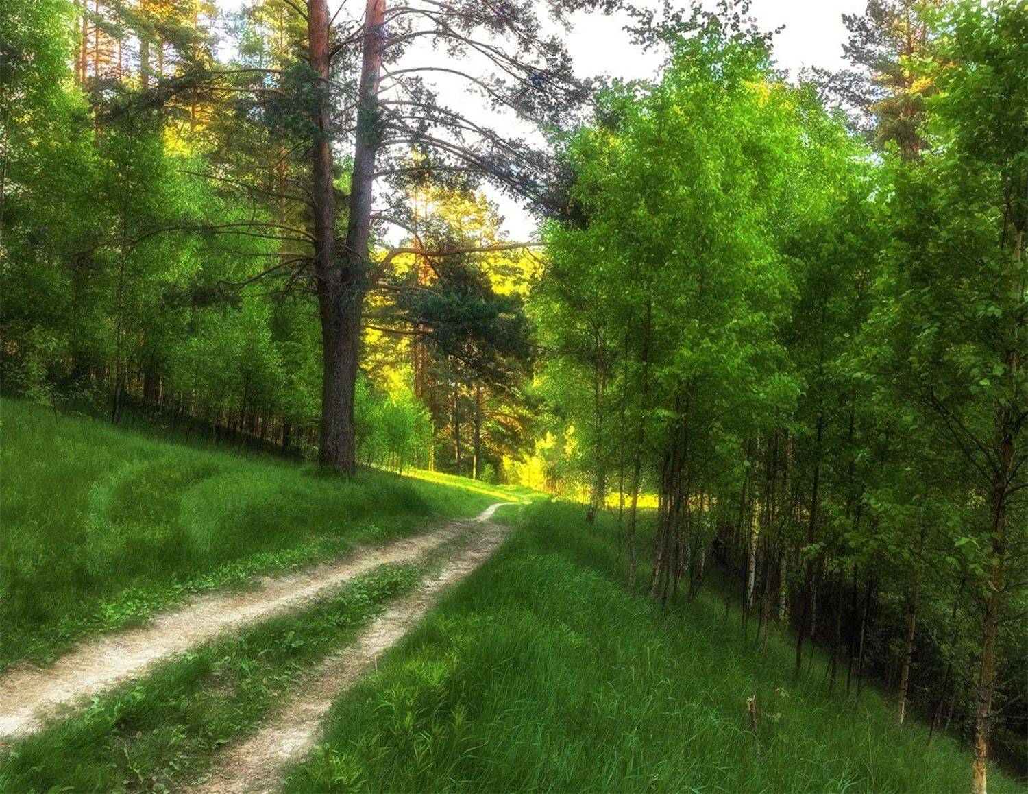 , Алексей Герасимов