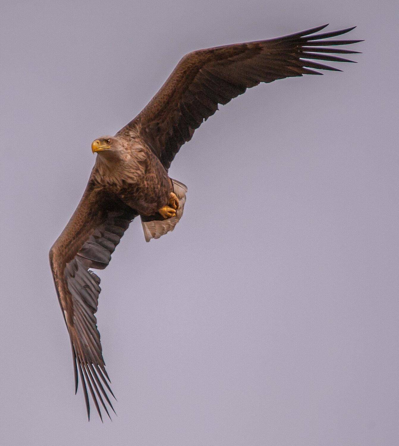 Астраханская обл.с.КАМЫШОВО, Сергей цыбизов