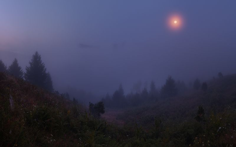 туман, ночь, Луна, река, Стрий, панорама, Сколовские Бескиды, полнолуние, горы, путешествие, night, foggy, mountains, Skolevsky Beskydy, river, Stryi, valley, fog, mist, panorama, moon, light, misty *** фото превью