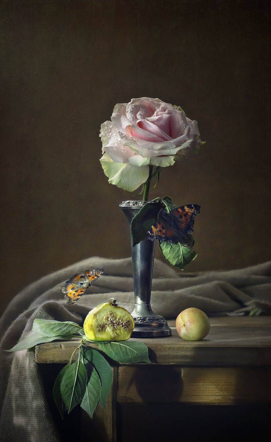 , Светлана Сушкевич