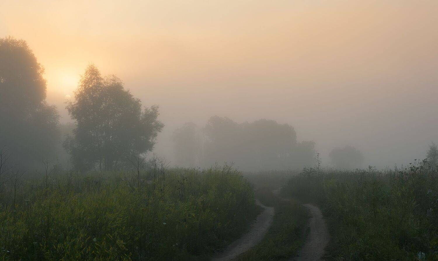 , Виталий Стрельцов
