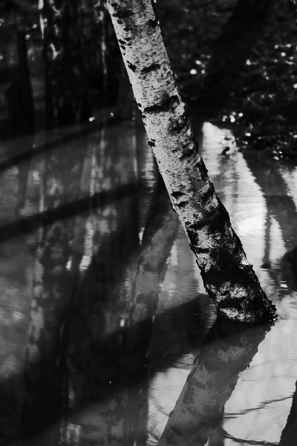 , Алексей Егоров