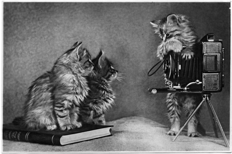 С днем фотографа! фото превью