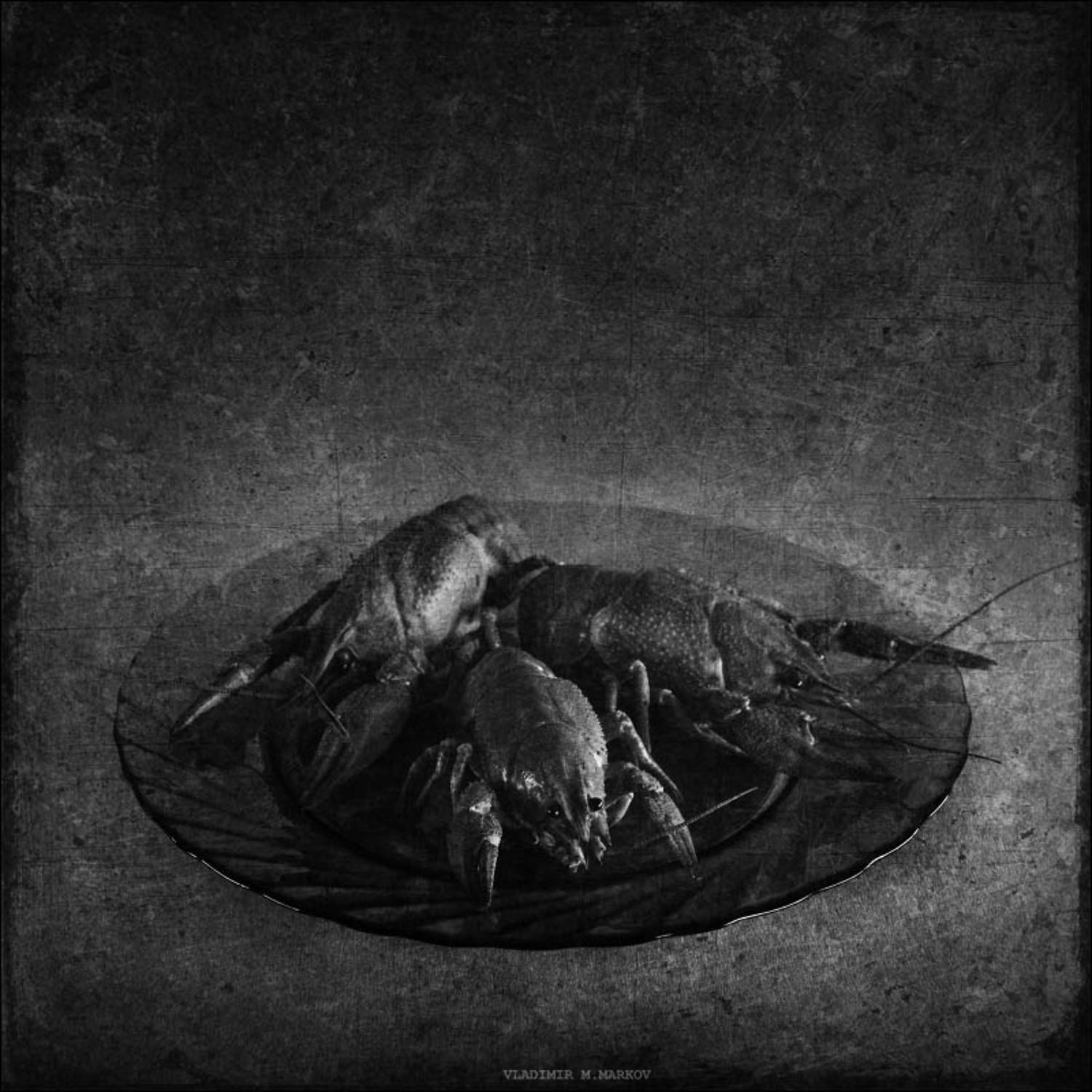 , Vladimir Markov