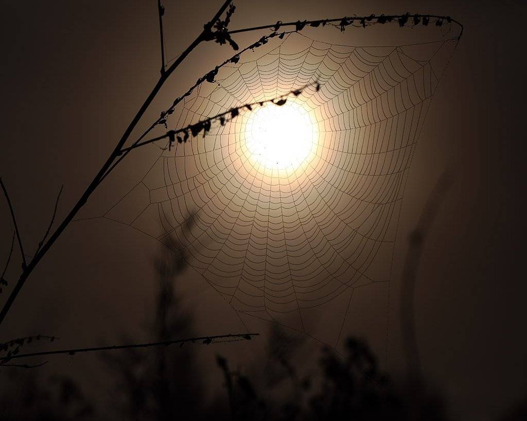 , Сергей Таланов