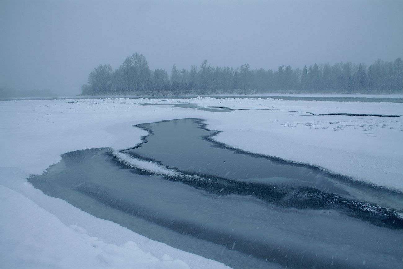 , Николай Морский