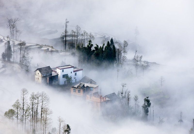 PARADISE фото превью