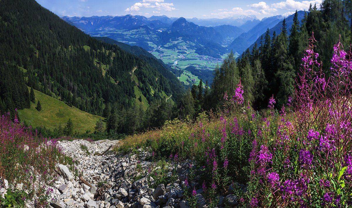 , Игорь Мелекесцев