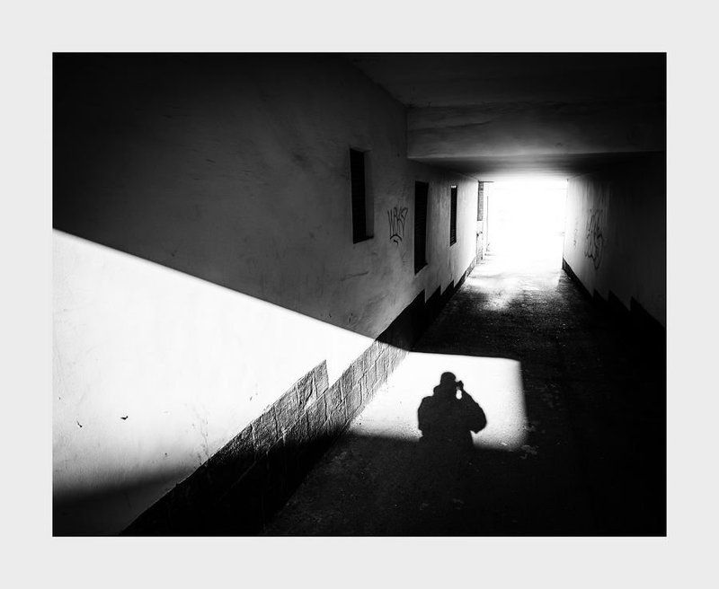 Подворотенный анабасис фото превью