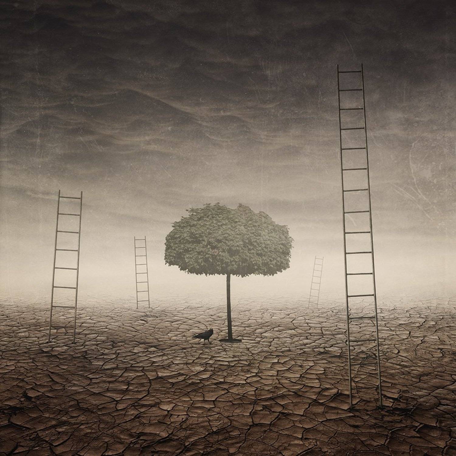 , Remigiusz Ossolinski