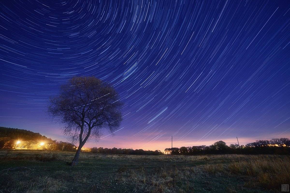 , Дмитрий Доронин