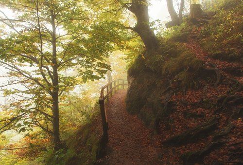 Куда уводит осень...