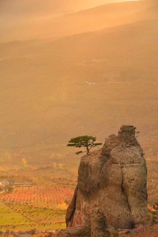 Его величество - свет! фото превью