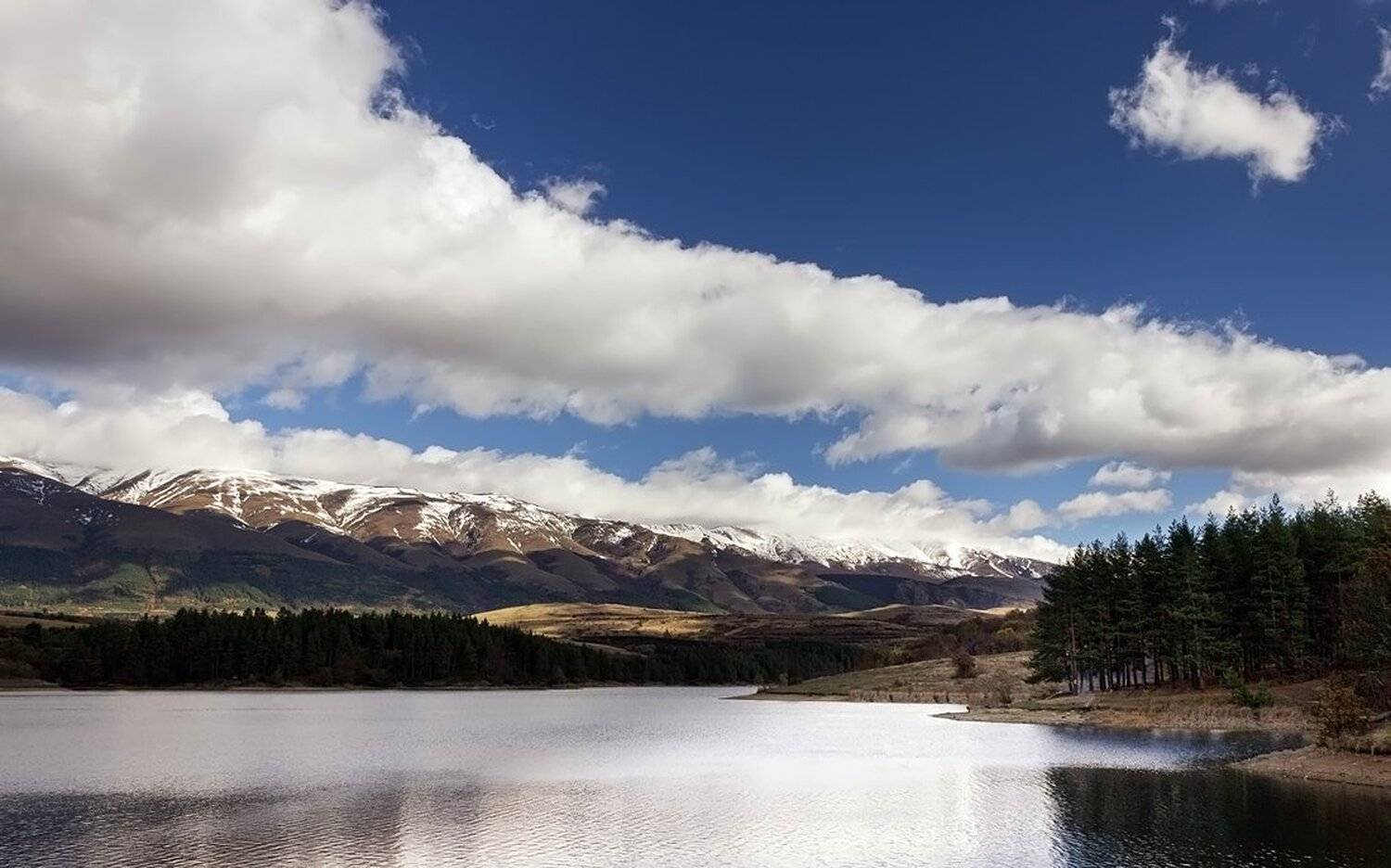 , Ирина Костова