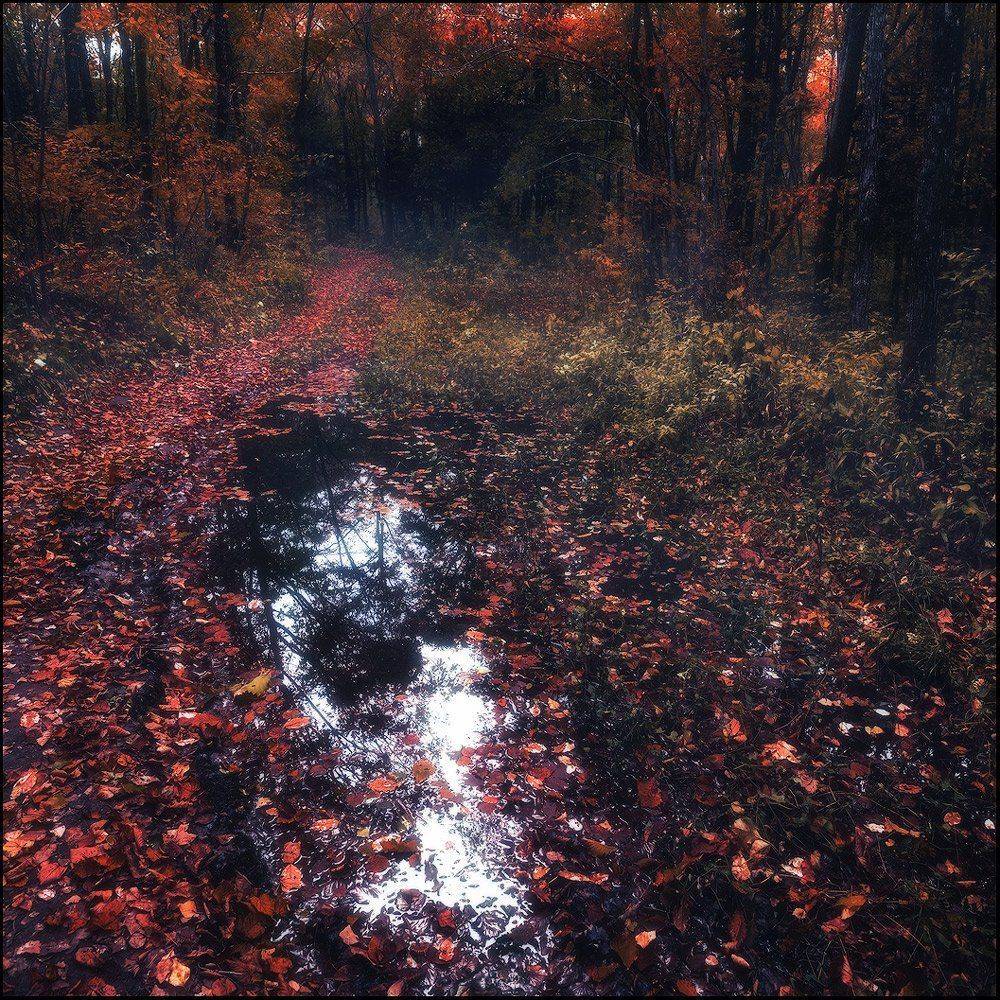 , Андрей Кровлин