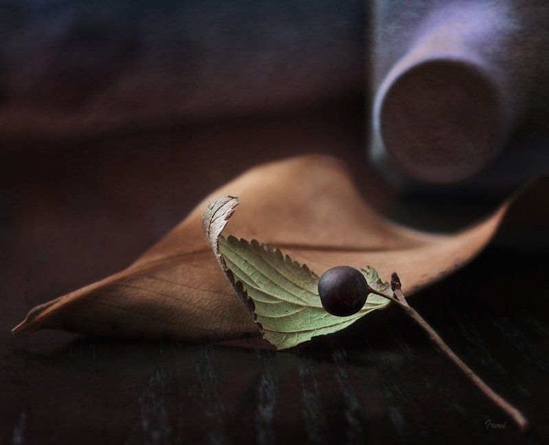 Осень-осень... фото превью