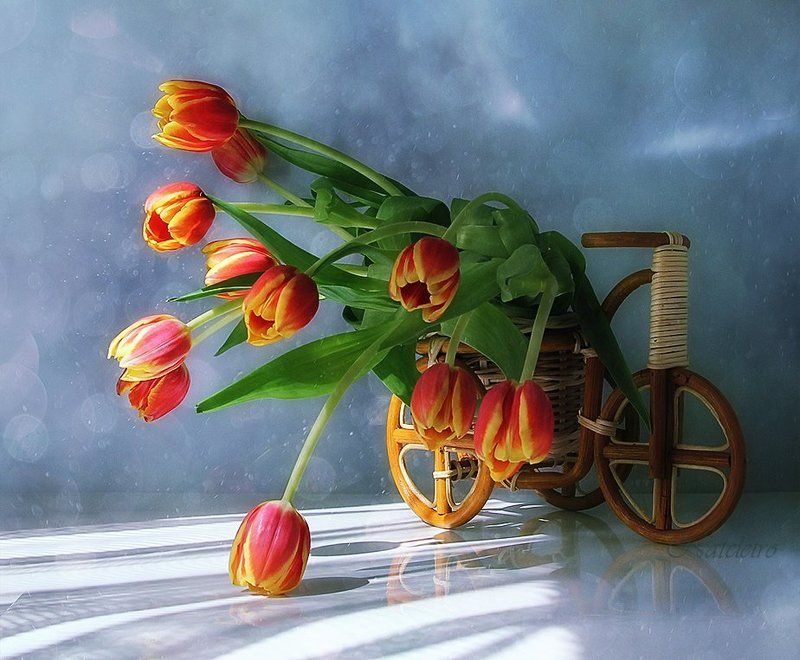 ~***~ фото превью